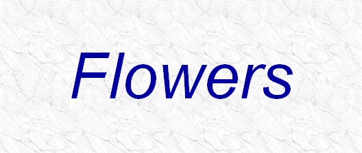 flowers