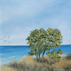seeblick meer kleinformatig set haike espenhain