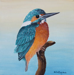 eisvogel Haike Espenhain