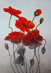 wandlung mohn nachdenklich blume
