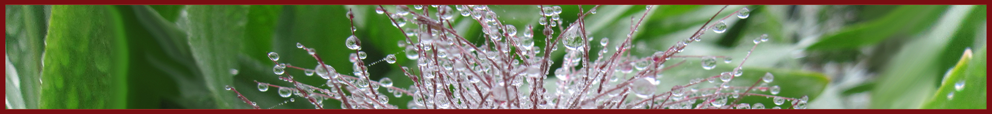 willkommen bei haike espenhain