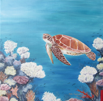 meeresschildkrte