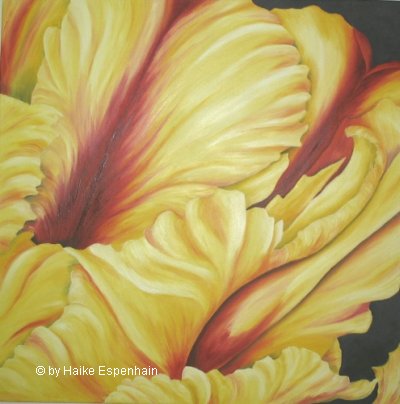 Blütenstücke - Tulpe I Öl auf Leinwand, 60 x 60