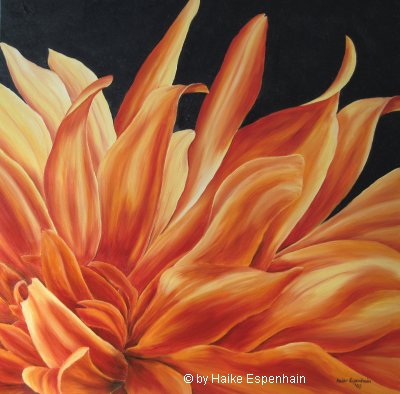 Blütenstücke - Dahlie Öl auf Leinwand, 60 x 60