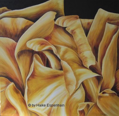 Blütenstücke - Rose II