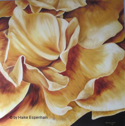 Blütenstücke - Rose I