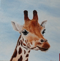 giraffe