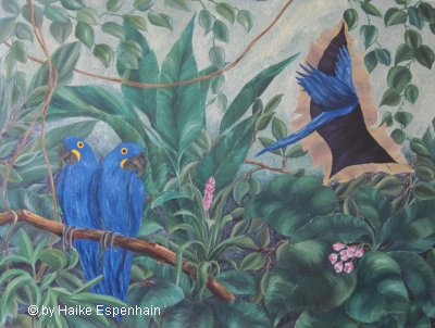 Ich bin dann mal weg