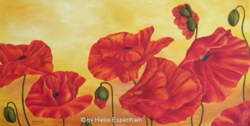Leuchtender Mohn Öl auf Leinwand 50 x 100