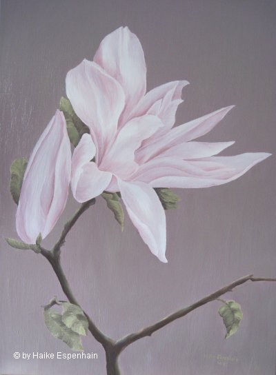 Magnolia