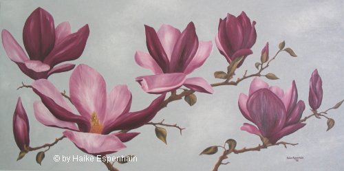 Magnolien