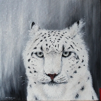 schneeleopard
