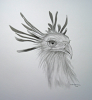 sekretr vogel