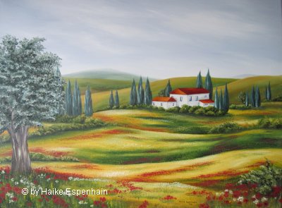 Sommerwiese mit Mohn