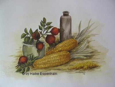 Stilleben mit Hagebutten und Mais