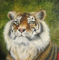tiger